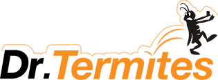 Dr. Termites