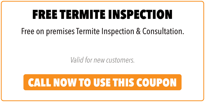 Services Dr Termites Pest Control & Termite Inspection Services Blog