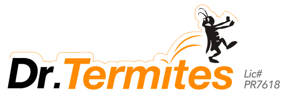 Dr Termites