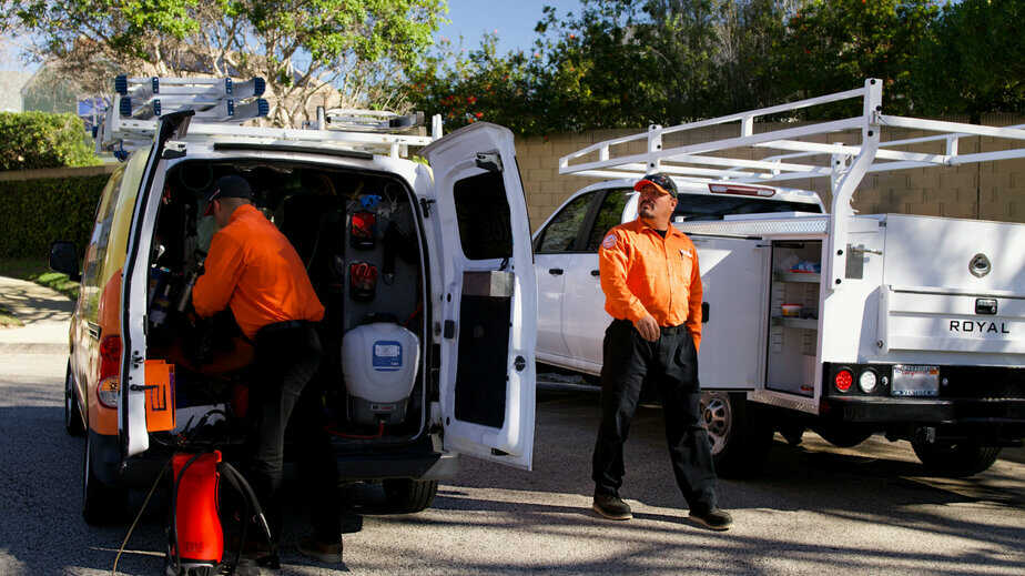 Termite Inspection