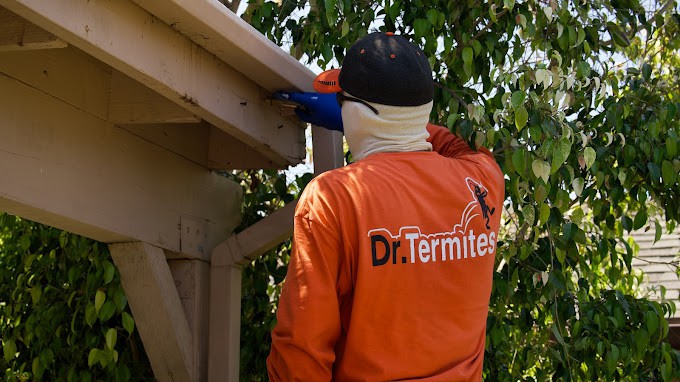 Termite Inspection