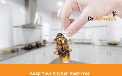 How To Keep Your Kitchen Pest-Free: Tips For Food Safety