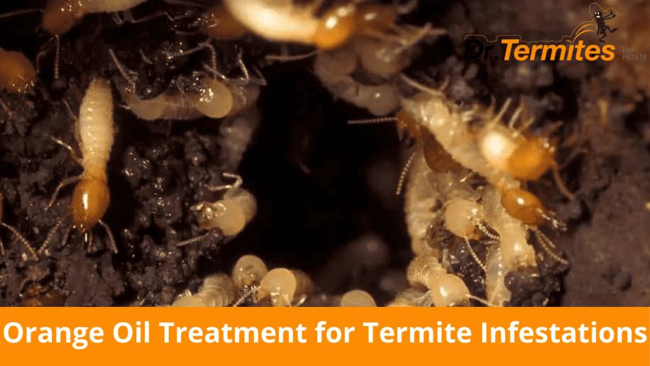 Orange Oil Treatment for Termite Infestations