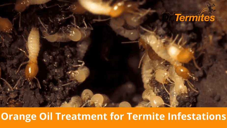 Targeting Termites: Orange Oil Treatment for Termite Infestations