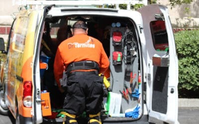 Building a Long-Term Relationship with Your Pest Control Provider