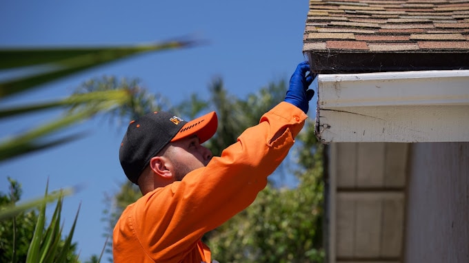 Termite Inspection