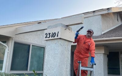 How to Protect Your Home from Termite Swarms in Spring