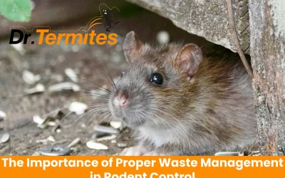 The Importance of Proper Waste Management in Rodent Control