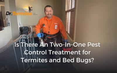 Is There a Two-in-One Pest Control Treatment for Termites and Bed Bugs?