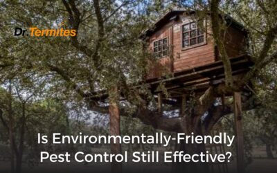 Is Environmentally Friendly Pest Control Still Effective?