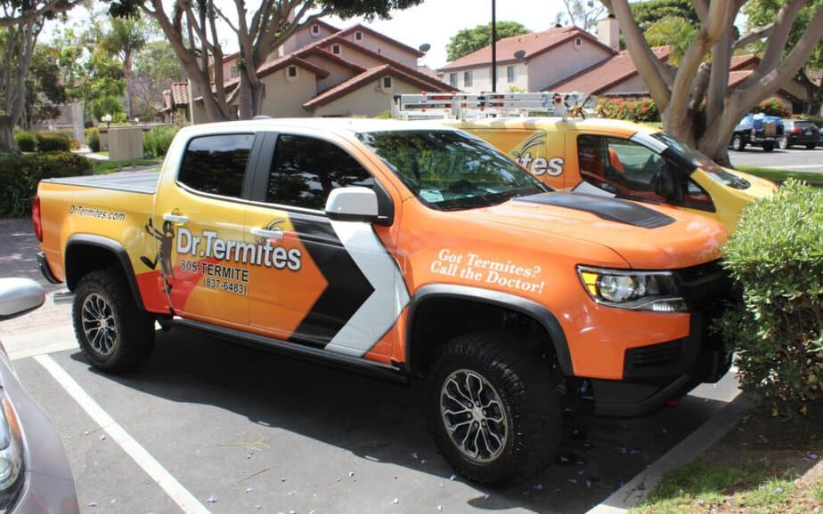 The Step-by-Step Process of Termite Treatment