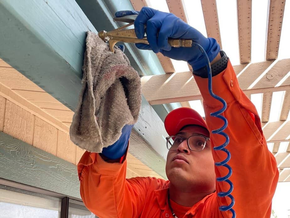 Dr. Termites 2 Termite Inspection